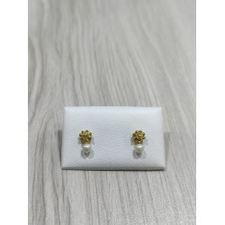 Pendientes charros | Joyería Flores - Botón Charro